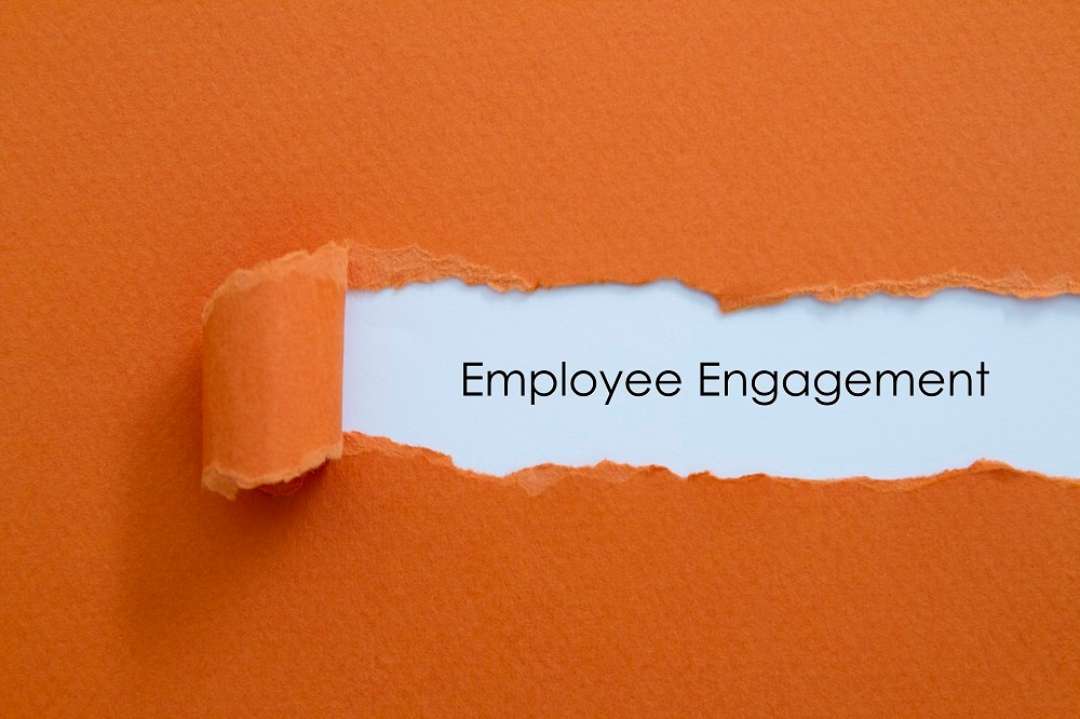 Plan Sponsors Focus on Retirement Readiness